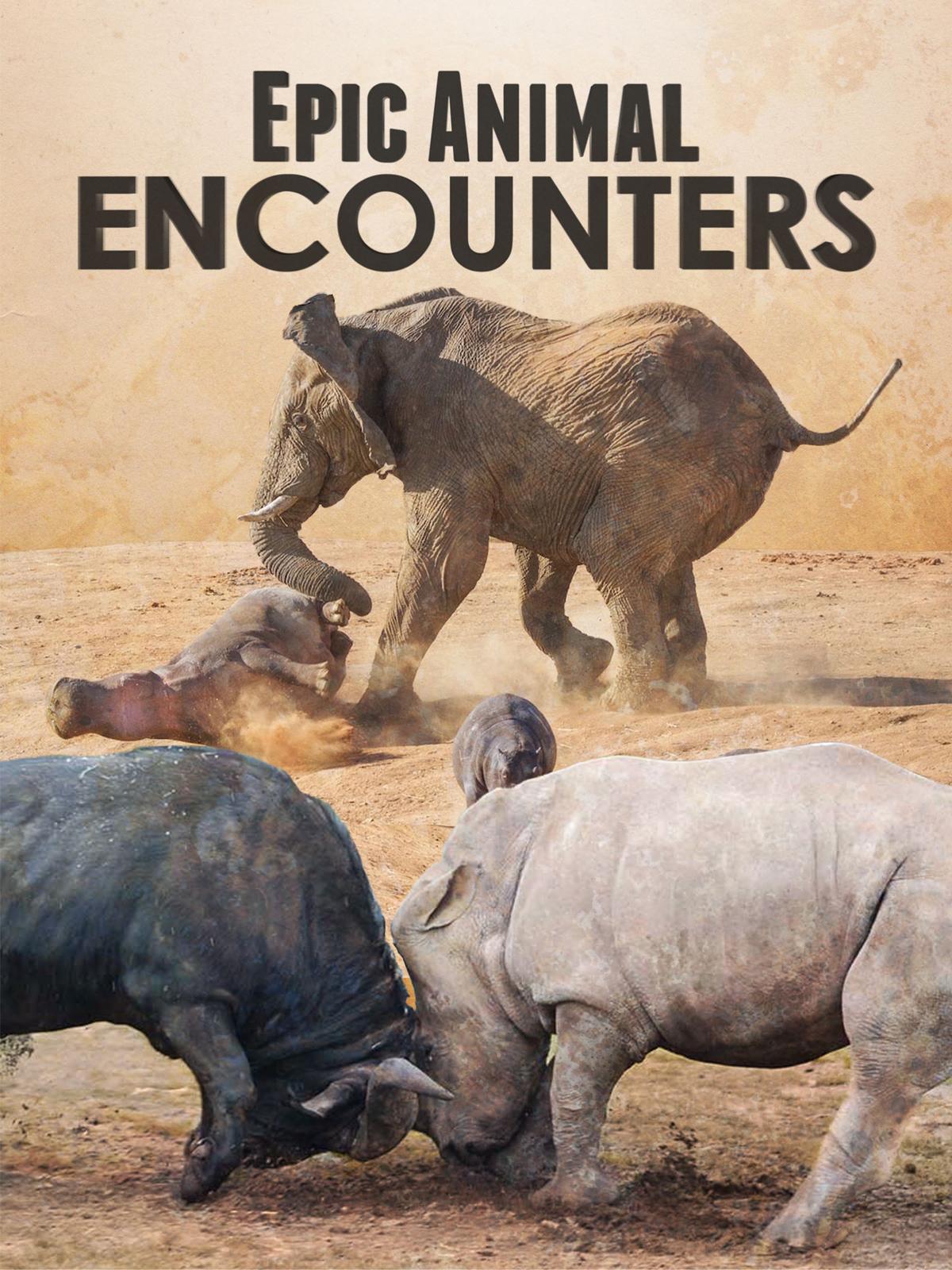 Epic encounters